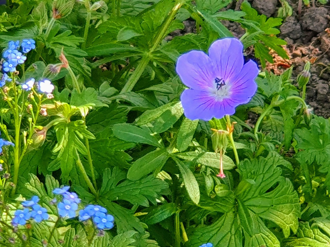 20190521_155921-effects