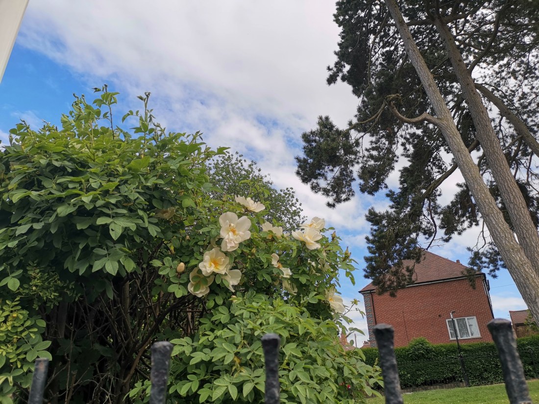 img_20190524_165503_1